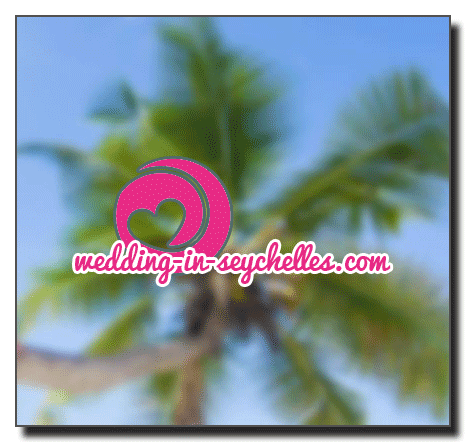 hochzeit seychellen